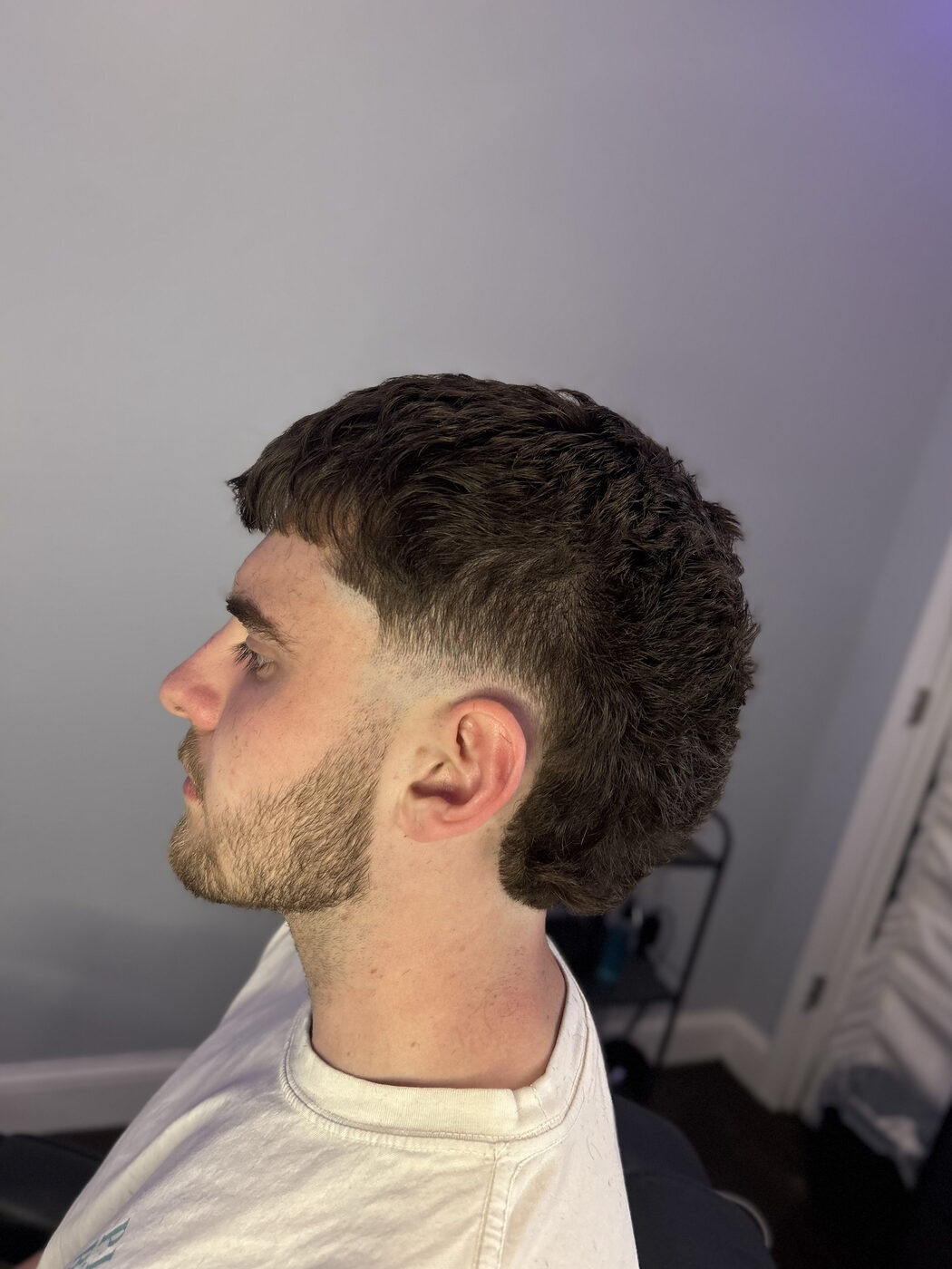 Fade blended into beard lineup